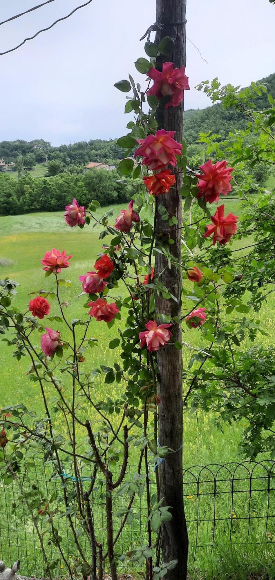 Casa Tonacchiolo Bed and Breakfast Acquaria Buitenkant foto